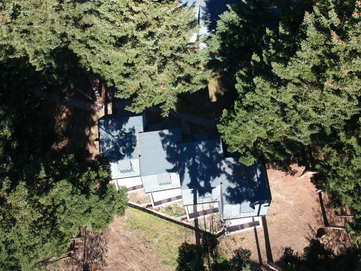 Moura & Villas Borovets Mountain Relax Spa Hotel エクステリア 写真