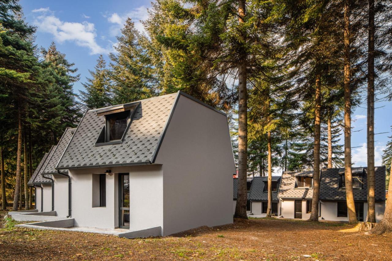 Moura & Villas Borovets Mountain Relax Spa Hotel エクステリア 写真