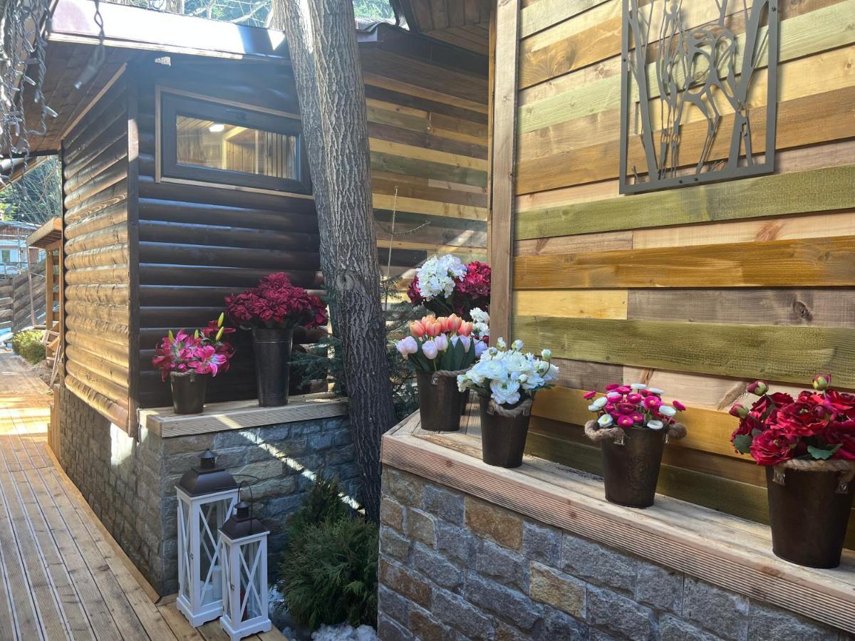 Moura & Villas Borovets Mountain Relax Spa Hotel エクステリア 写真